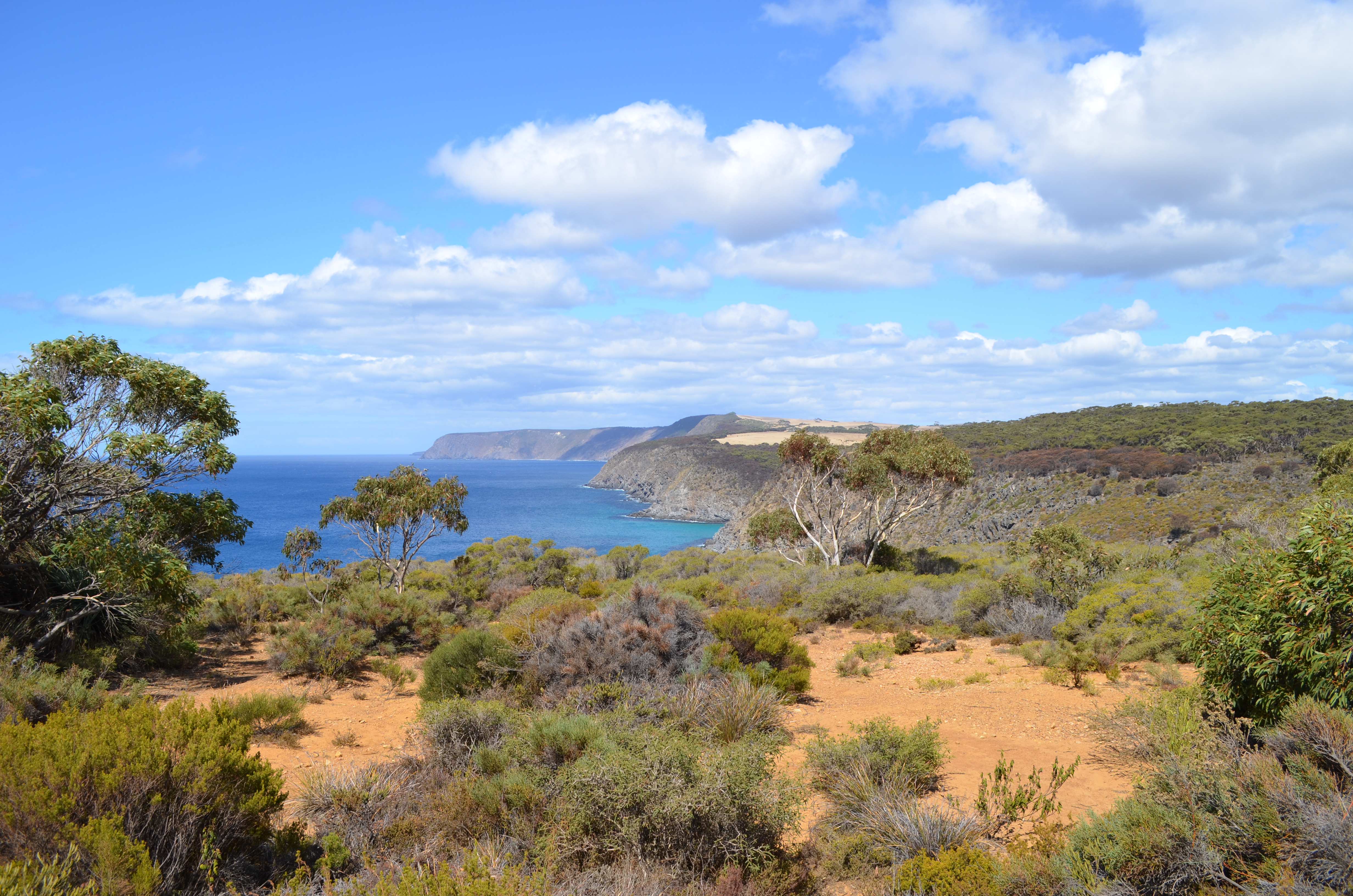 7 Paysage de rêve (Kangaroo Island)